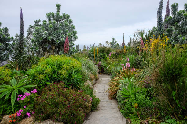 istock Exotic tropical garden on a hill 1407326917