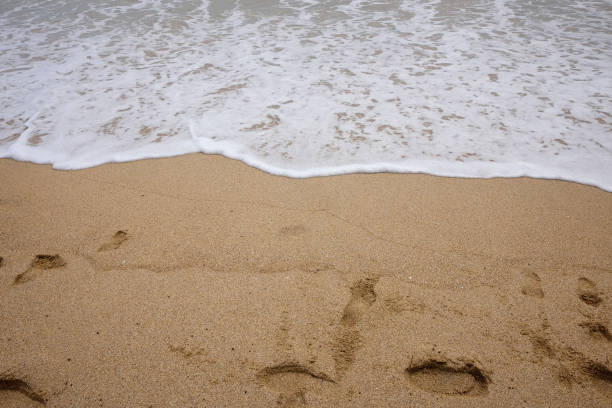 istock Sea, wave and the sand 1407326938