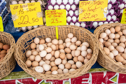 basket full of organic village eggs