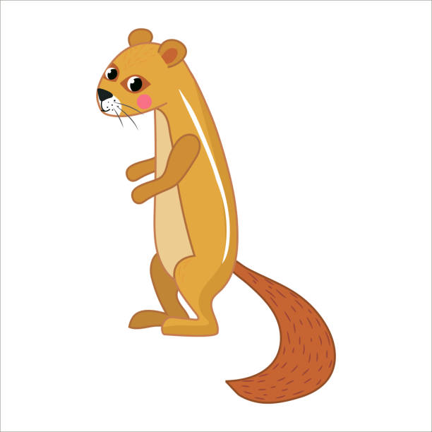 funny african animal isolated on transparent background. vector illustration. zoo african ground squirrel stock illustrations