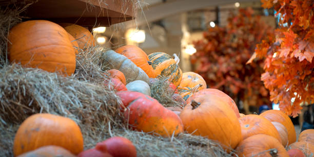 istock Lots of pumpkins. 1407328769