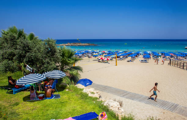 einer der schönsten sandstrände zyperns und europas - strand von fig tree bay (protaras bereich) - sea fig stock-fotos und bilder