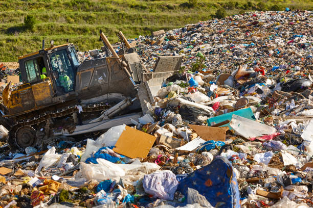 istock Heavy machinery shredding garbage in an open air landfill. Pollution 1407333544