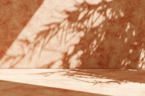 istock Concrete wall background with plant shadow. Summer tropical architecture scene. 1407335297