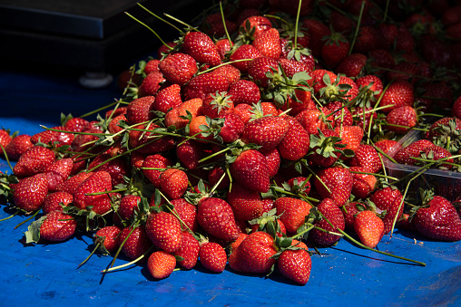 Fresh strawberries closeup. Girl holding strawberry in hands on background basket with berries. Top view
