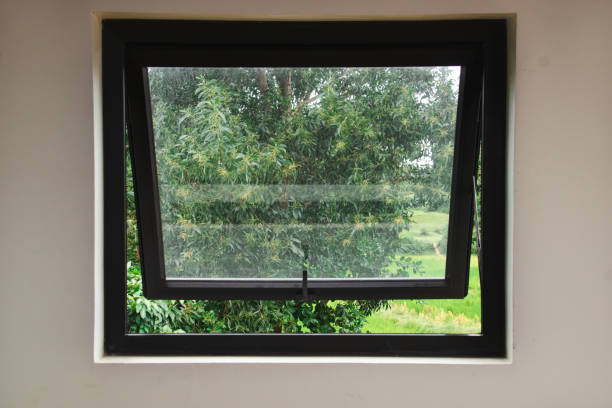 istock Window on a white wall with the view of greenery on the outside 1407337040
