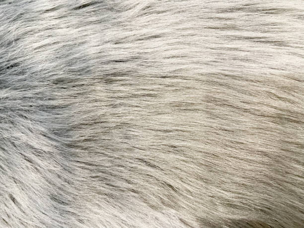 istock Abstract background of wool, close up of wool 1407337227
