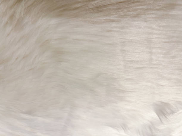 istock Abstract background of wool, close up of wool 1407337235
