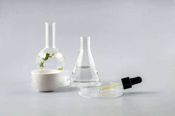 istock laboratory flasks and pipette with essential oil in a petri dish on a gray background 1407338975