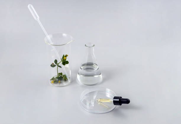 istock laboratory flasks and pipette with essential oil in a petri dish on a gray background 1407338976