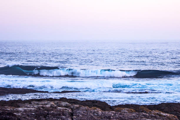 waves in the blue hour - color image light pink dramatic sky imagens e fotografias de stock