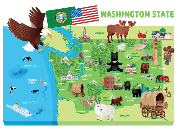 워싱턴 주 여행 지도 - bellingham stock illustrations
