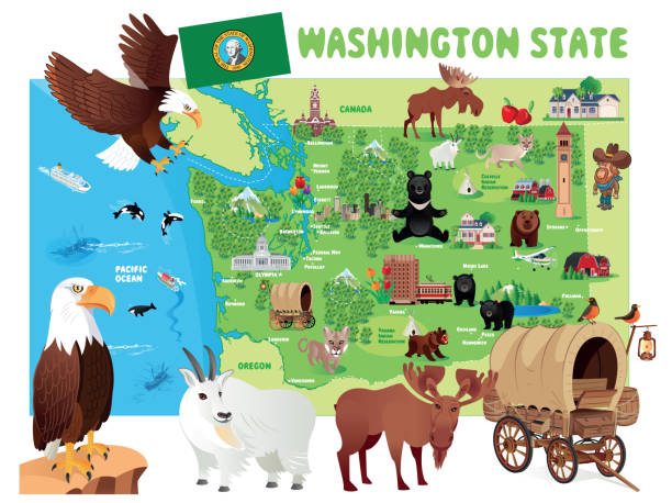 washington state travel map - bellingham stock illustrations