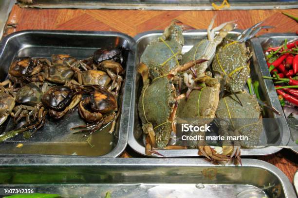 Sea Crabs And Land Crabs Displayed For Grilling Stock Photo - Download Image Now - Asia, Business, Cambodia