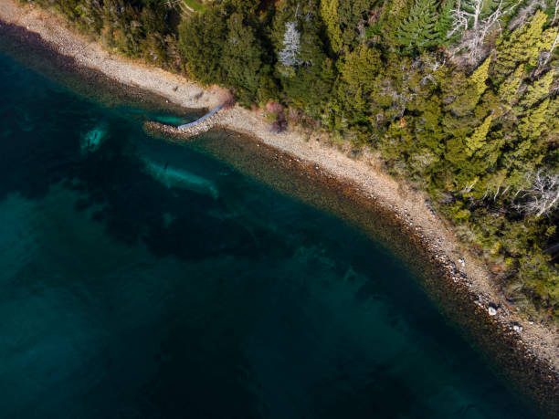 istock Aerial landscape with turquoise lake and trees 1407346541
