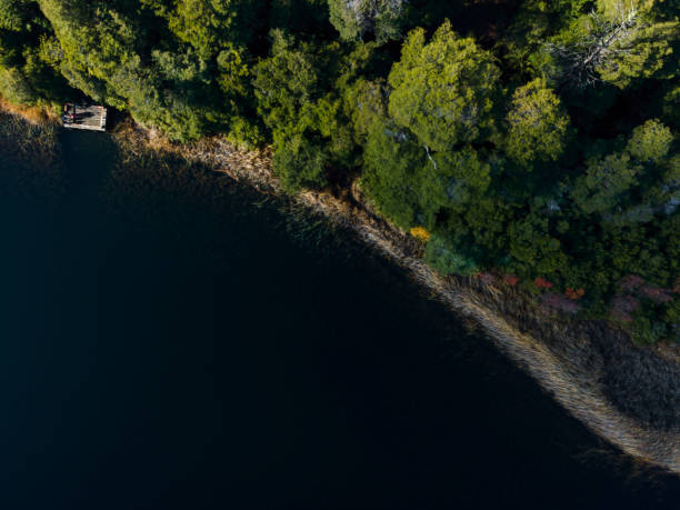 istock Aerial landscape with lake and trees 1407347198