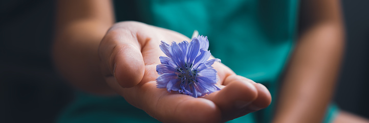 Wide view closeup image of a childs hand holding delicate purple blossom in a conceptual image of innocence and purity.