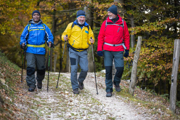Smiling friends hiking in forest with backpacks and trekking poles. Healthy lifestyle and nature concept.