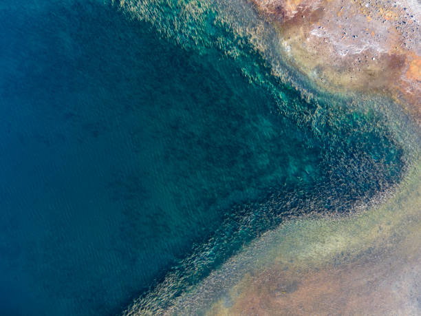 istock Aerial Argentinian patagonia abstract landscape 1407355217