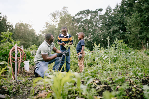 istock Father Gardening With His Sons 1407355890