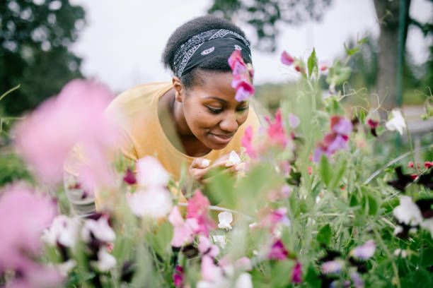 istock Woman Smelling Snap Pea Flowers 1407355897