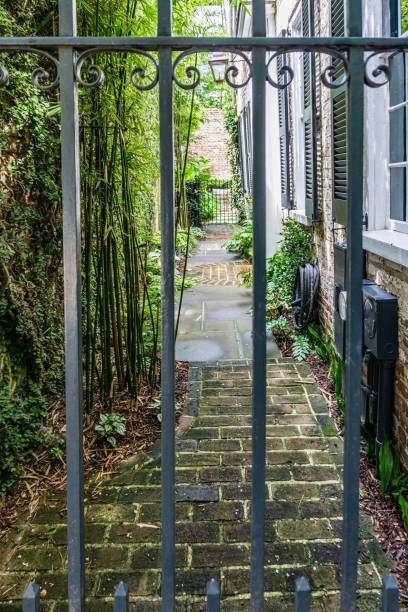 istock Charleston Scenic Walkway 1407355931