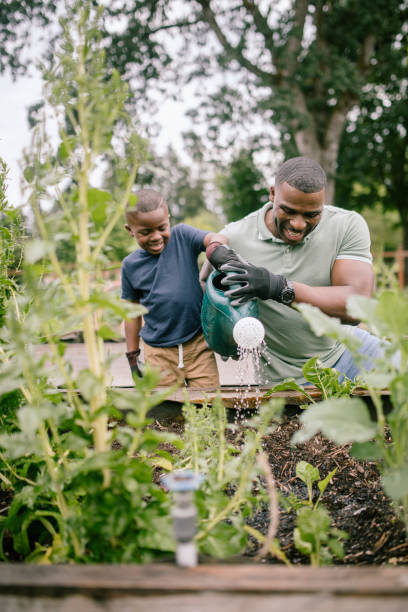 istock Father Gardening With His Son 1407356513