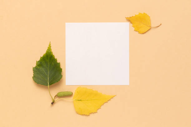 istock Autumn dry yellow leaves. 1407356547