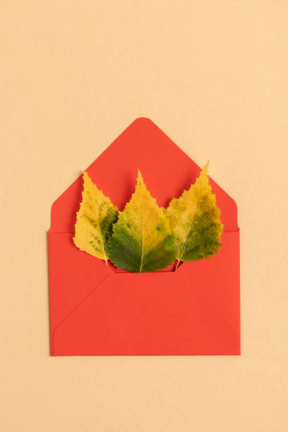 istock Postal envelope with autumn leaves. 1407356551