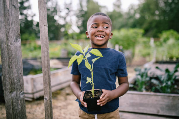 istock Cute Boy Holding Up Banana Pepper Plant 1407356593