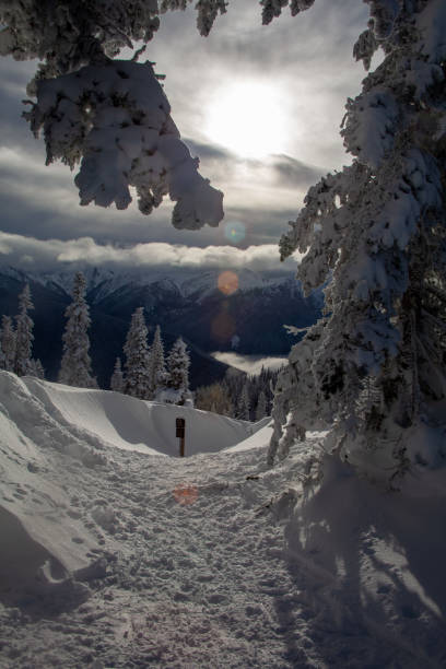Winter wonderland