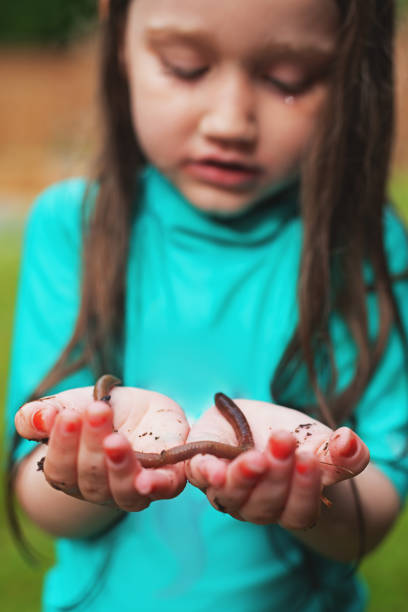 istock Girl Holding Earthworm 1407357177