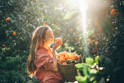 Mujer sonriente de cabello rizado con canasta recogiendo naranjas en el jardín. photo