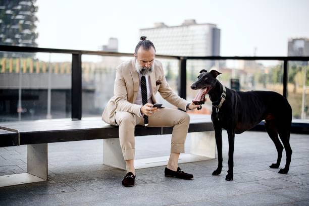 istock Mature man using phone while walking his dog in the city 1407358204