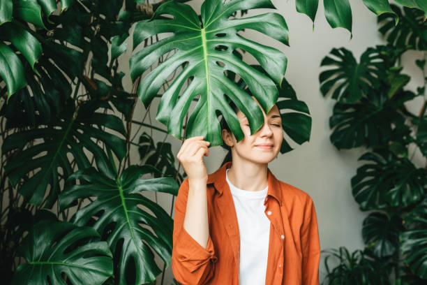 Portrait of a beautiful young woman covering her face with a green monstera leaf. A female gardener stands behind green leaves stock photo
