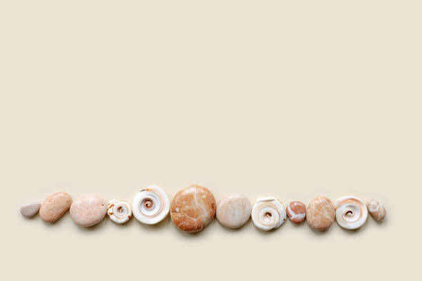 Top view close up colored pebbles sea stones and shells on sand color background. Row from natural round smooth stone neutral tones. Minimal style banner, summer concept, empty space for text.