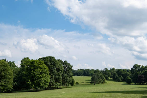istock Sunny day in the park 1407362662