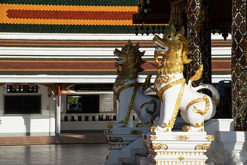 Group of Leo or lion serves as protection. Preserving the place at Wat Phra That Choeng Chum Worawihan It is an important sacred place of the city. since ancient times.This is a beautiful Thai national art.