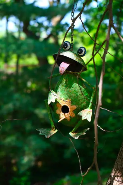 Frog birdhouse