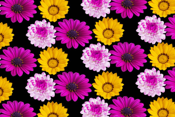 istock pattern of beautiful flowers on a black background 1407368164