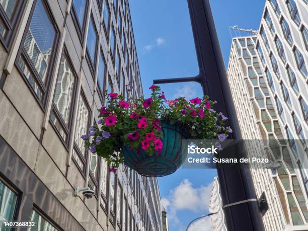 Victoria Street London Uk Stock Photo - Download Image Now - Building Exterior, Modern, Plant