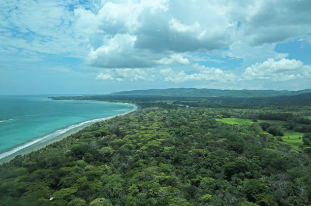 istock view along coast from the air 1407369186