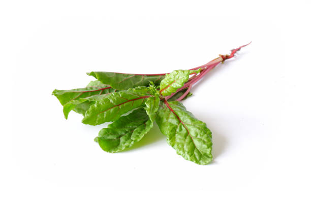 istock Red chard leaves on a white background. Useful edible plant close-up. 1407370544