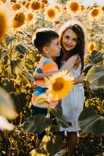 Brother and sister playing in the sunflower field