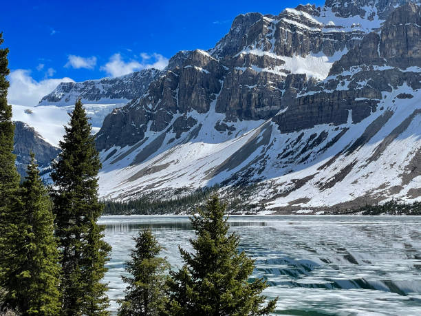istock Bow Lake Banff National Park 1407378819