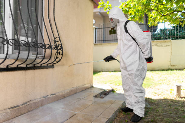 istock Man spraying insecticide on grass in lawn. 1407382070