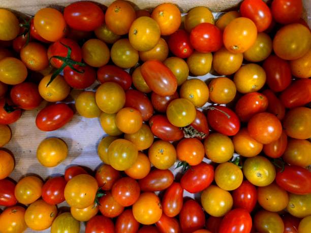 istock Different colored Cherry snack tomato mix in a supermarket shelf 1407384312