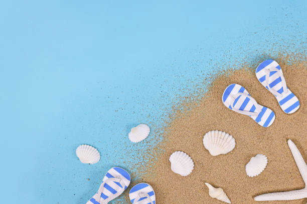 Stylish flip flops and sea shells on beach, flat lay. Space for text