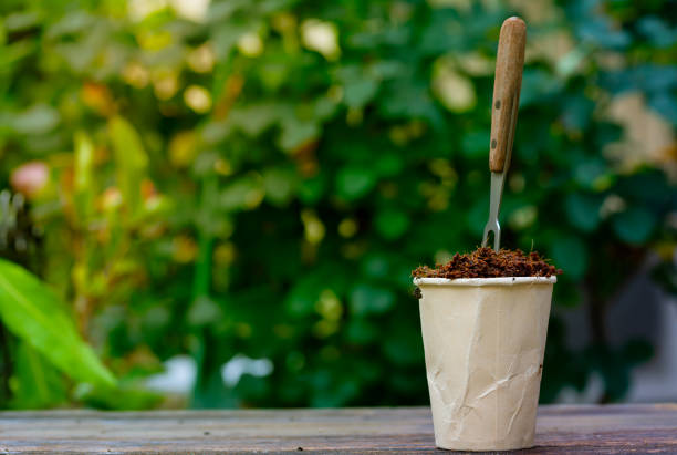istock Gardening tools, seeds and soil setting wooden table with lush foliage background. 1407389447