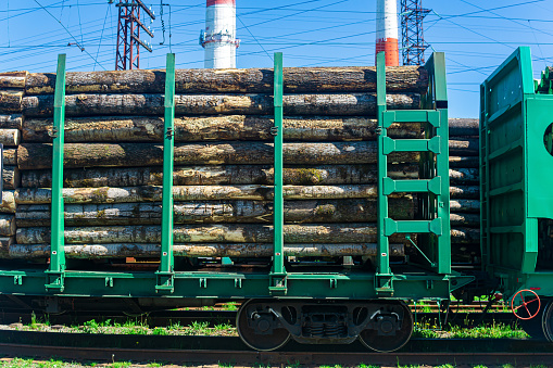 loaded railway wagons for transportation of logs close-up